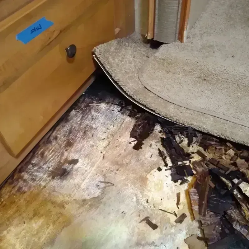 Wood Floor Water Damage in Ridgefield Park, NJ